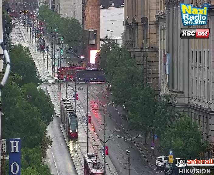 Live Stream